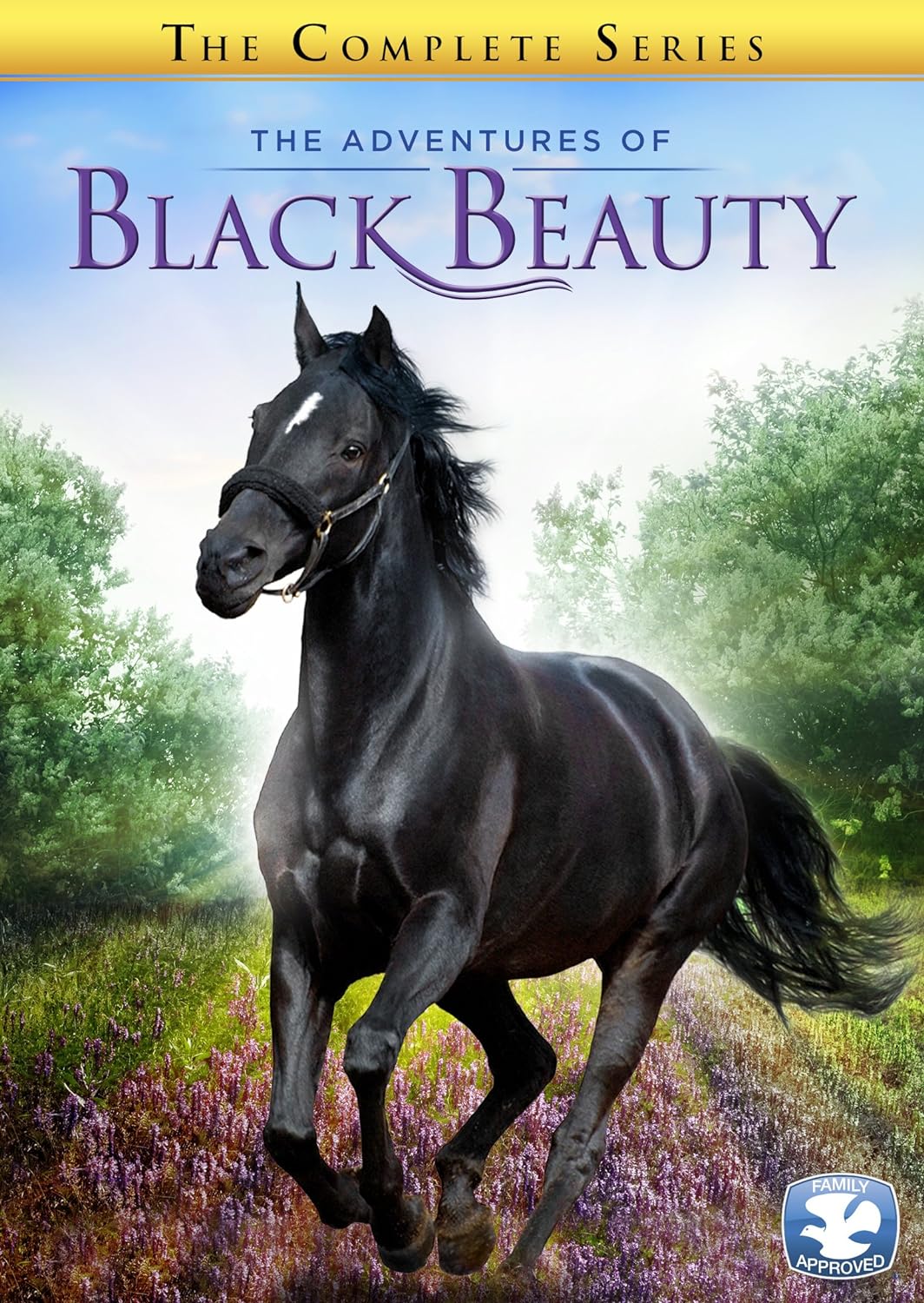 Adventures of Black Beauty: The Complete Series